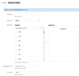 軟件服務與軟件開發 創新驅動下的雙核引擎
